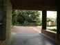  verdure dans cour d'immeuble moderne